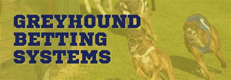 greyhound lay system|winning greyhound systems.
